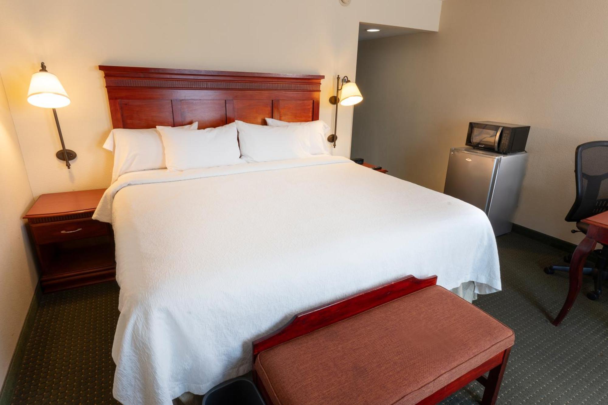 Hampton Inn By Hilton Guadalajara-Aeropuerto Las Pintas Екстер'єр фото