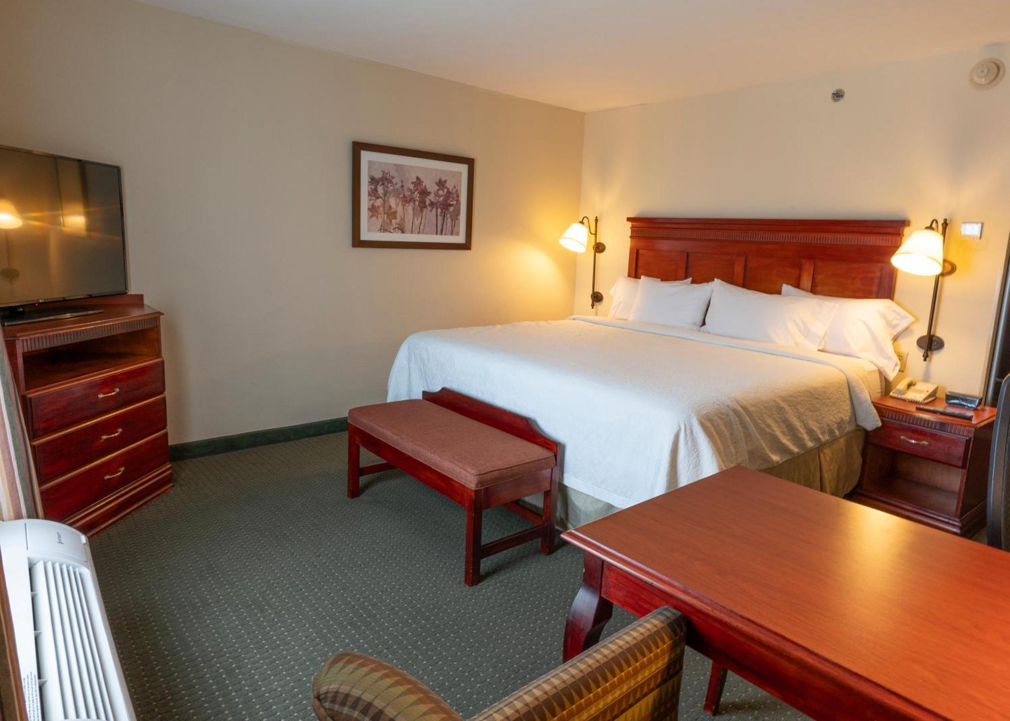 Hampton Inn By Hilton Guadalajara-Aeropuerto Las Pintas Екстер'єр фото