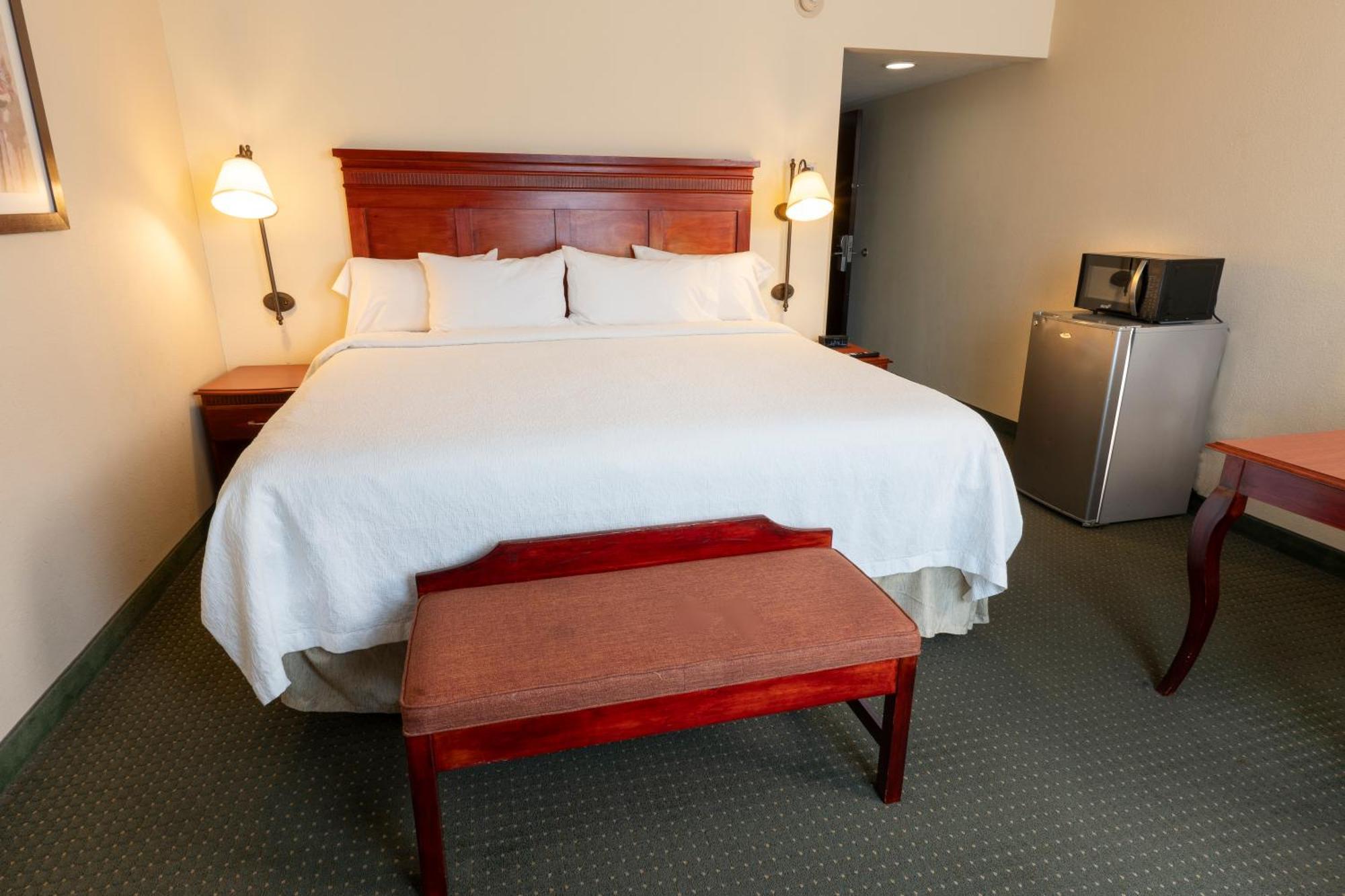 Hampton Inn By Hilton Guadalajara-Aeropuerto Las Pintas Екстер'єр фото