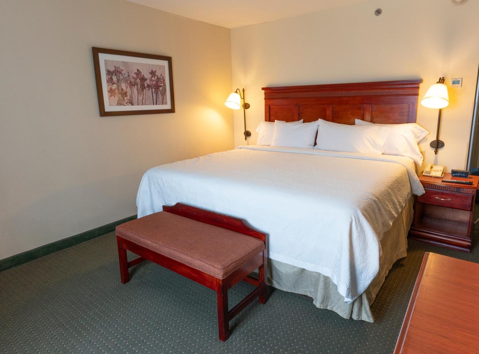 Hampton Inn By Hilton Guadalajara-Aeropuerto Las Pintas Екстер'єр фото